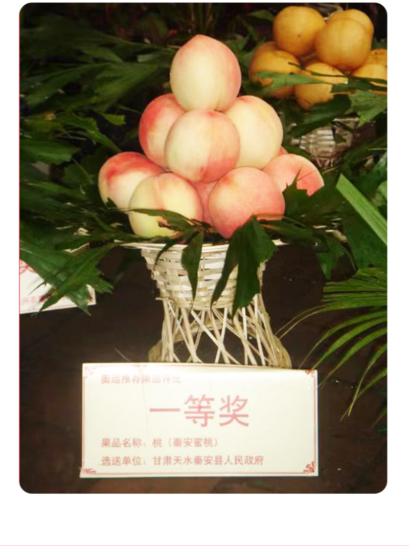 正宗秦安蜜桃孕妇桃现摘甘肃天水水蜜桃北京七号新鲜桃子顺丰