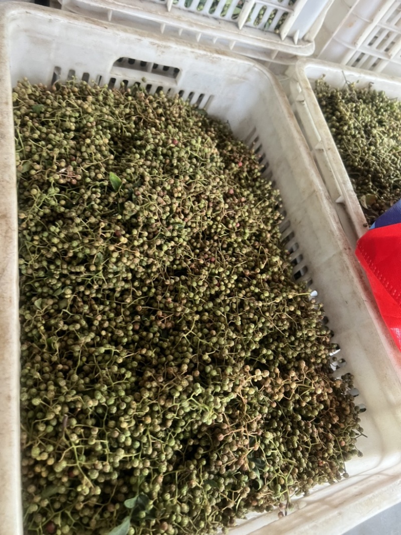 花皮鲜花椒