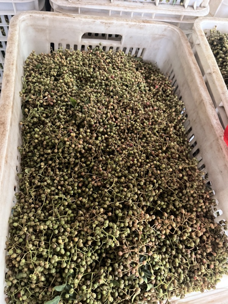 花皮鲜花椒
