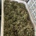 花皮鲜花椒
