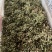 花皮鲜花椒