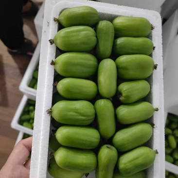 软枣猕猴桃（奇异莓）