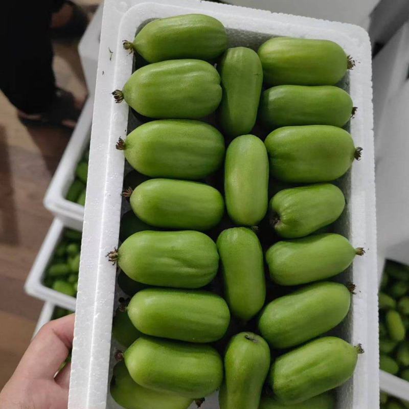 软枣猕猴桃（奇异莓）