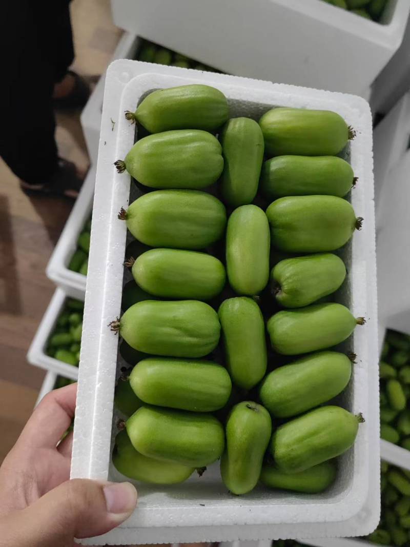 软枣猕猴桃（奇异莓）