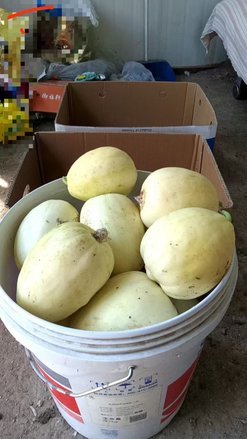 量大从优