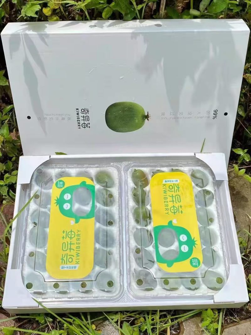 软枣猕猴桃（奇异莓）