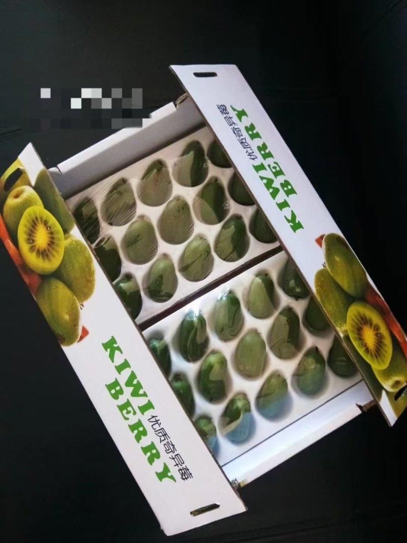 软枣猕猴桃（奇异莓）