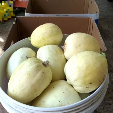 量大从优