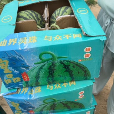 麒麟瓜