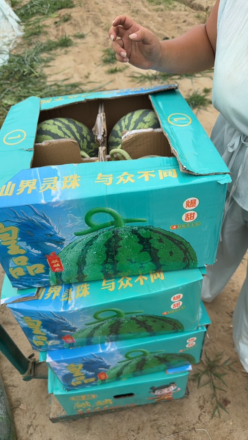 麒麟瓜