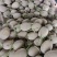 《西州蜜17》精品蜜瓜/精品货源/质量三包/供应电商市场