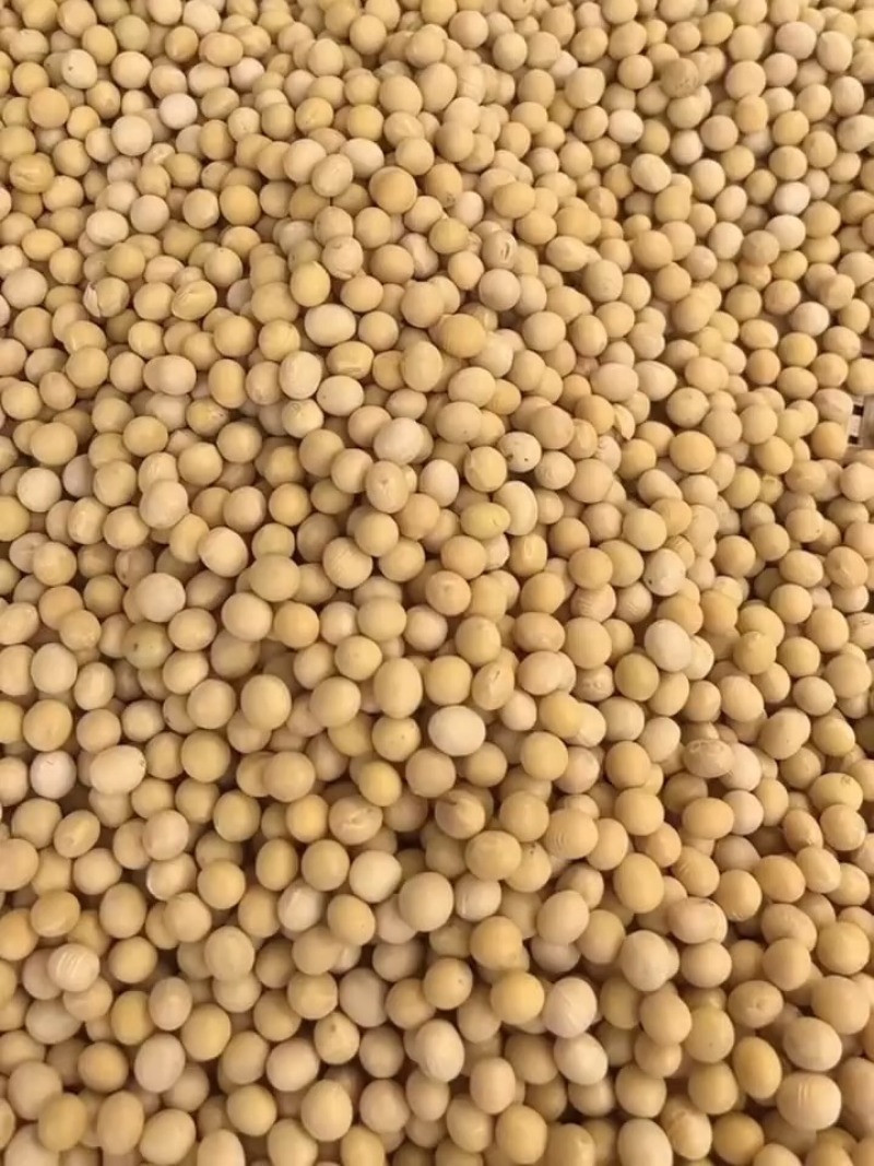 大豆39%----48%