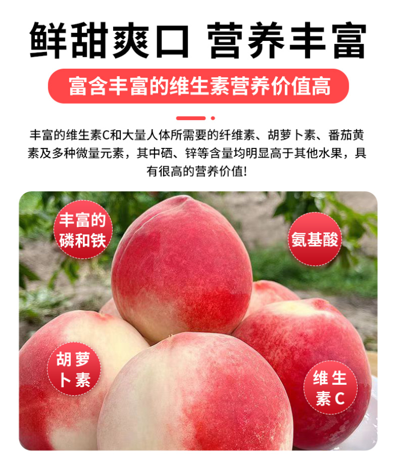 正宗秦安蜜桃孕妇桃现摘甘肃天水水蜜桃北京七号新鲜桃子顺丰