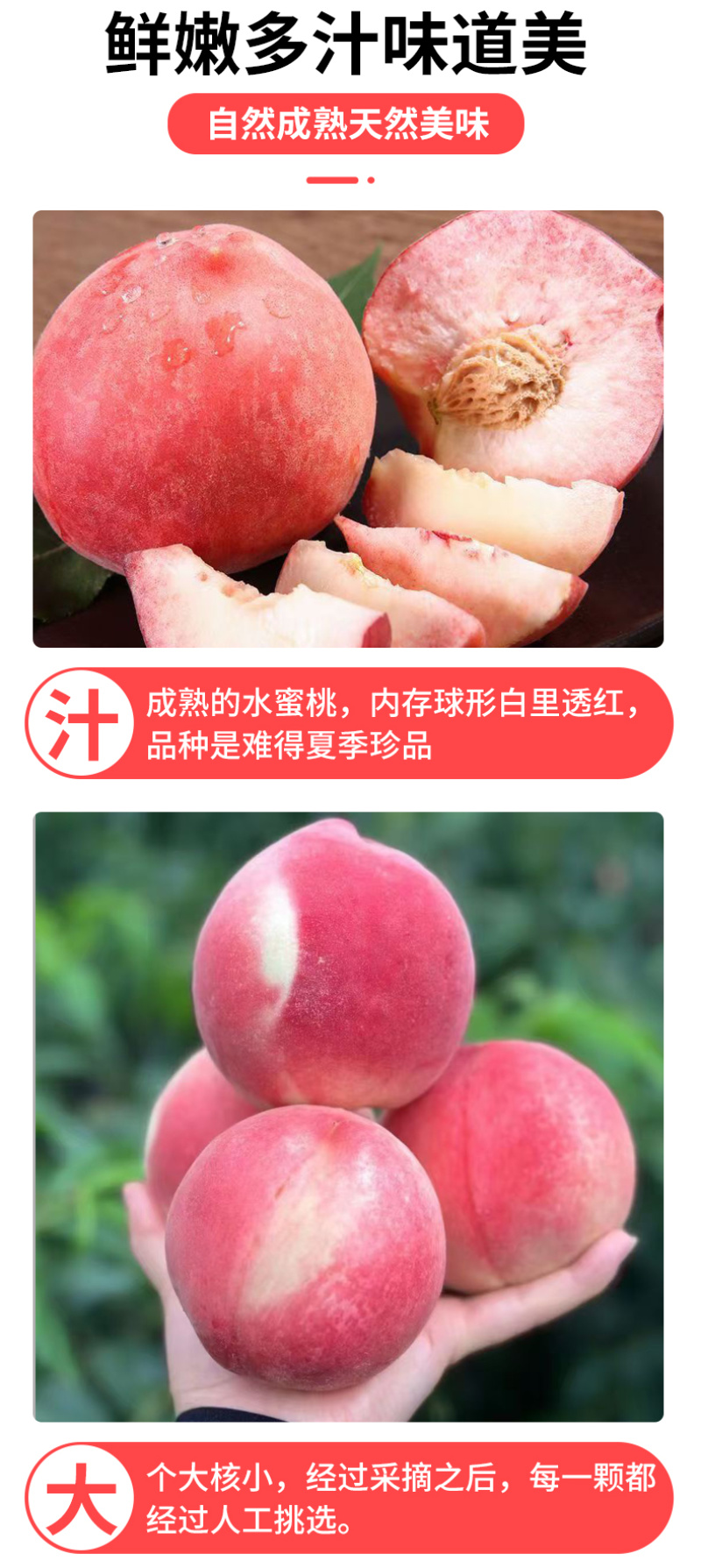 正宗秦安蜜桃孕妇桃现摘甘肃天水水蜜桃北京七号新鲜桃子顺丰