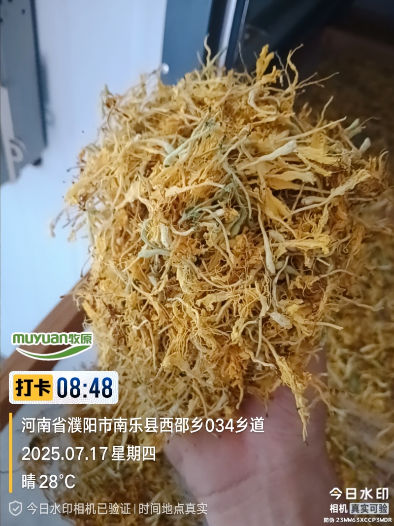 四季金银花、烘干、无硫、无杂物、无黑头、源头种植