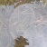 苏北野生黄鳝苗，大量供应，专业服务，诚信经营，以质取胜
