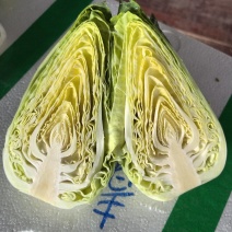 甘蓝甜心小甘蓝山东潍坊产地直供对接批发市场