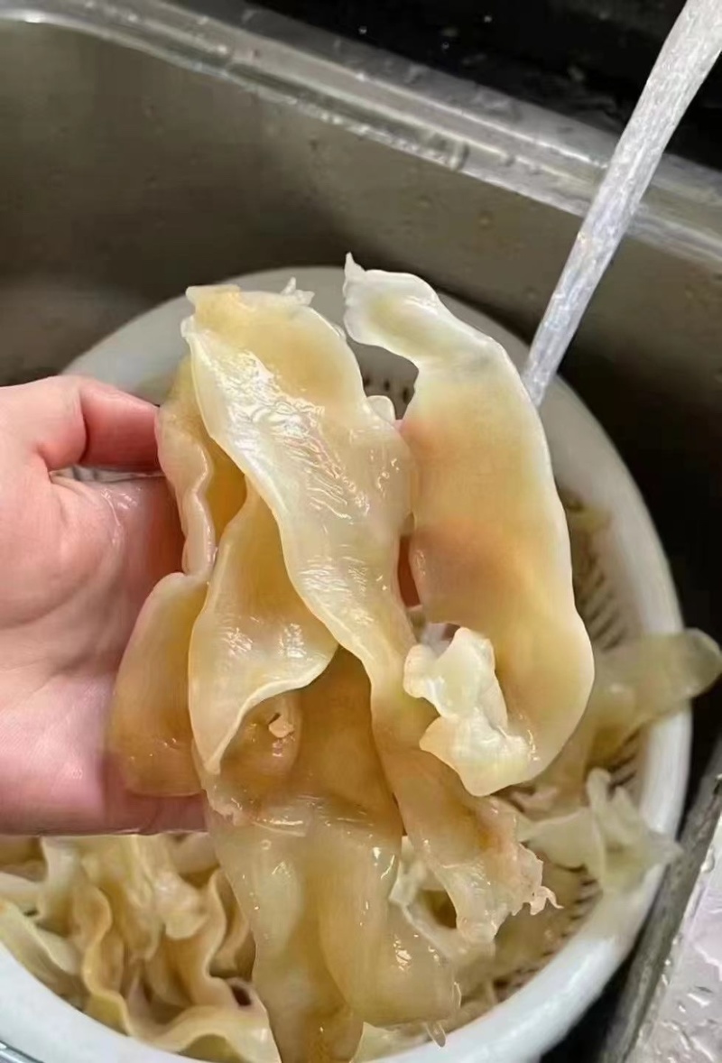 佐罗胶黄花胶鱼肚鱼鳔花胶干货孕妇滋补胶原蛋白鳘鱼胶
