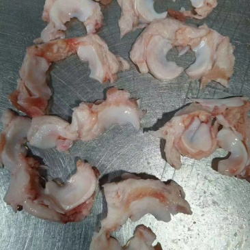 新品元宝筋蘑菇筋可做串串，烧烤
