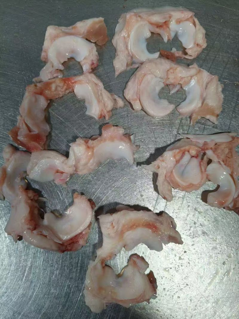 新品元宝筋蘑菇筋可做串串，烧烤