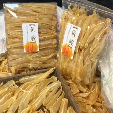 鱼胶金龙筒金龙胶鳘鱼胶黄花胶鸡蛋胶深海花胶干货滋补食材