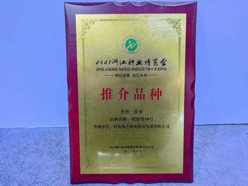 酸甜果10号抗TY病根线虫无限生长酸甜可口耐储运果包粉亮