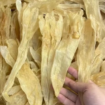 鱼胶花胶阴阳条阴阳公北海鳘鱼胶清水足干肉厚孕妇滋补品