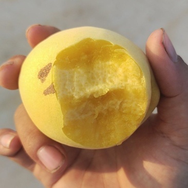 锦绣黄桃