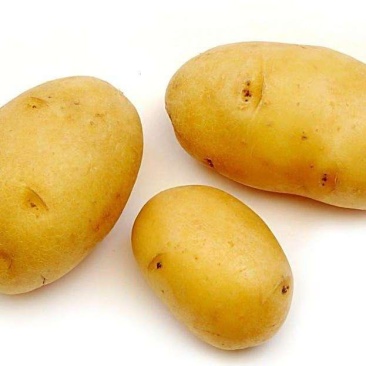 土豆