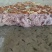 肉鸡肝30吨