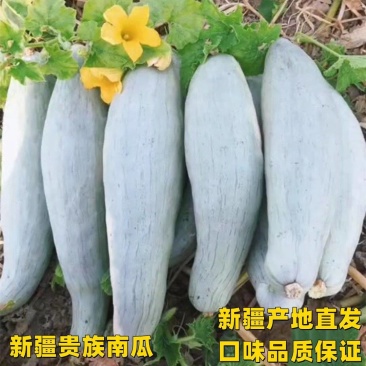 新疆老贵族电商代发
