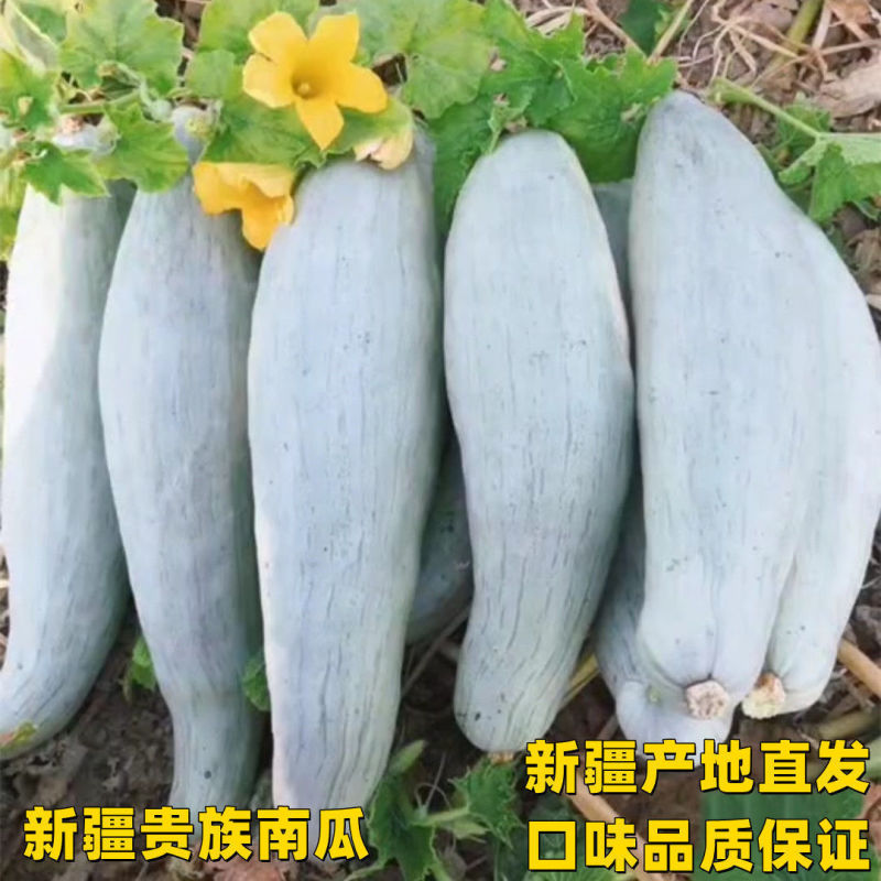 新疆老贵族电商代发