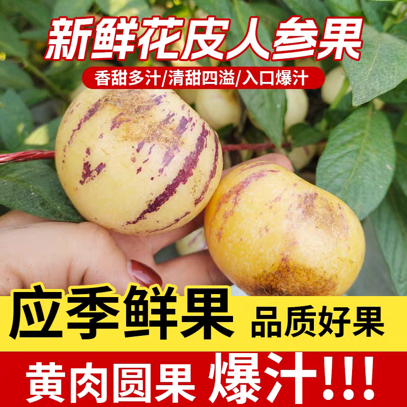 云南石林人参果电商发货