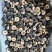 枳实各种规格齐全枳实批发零售