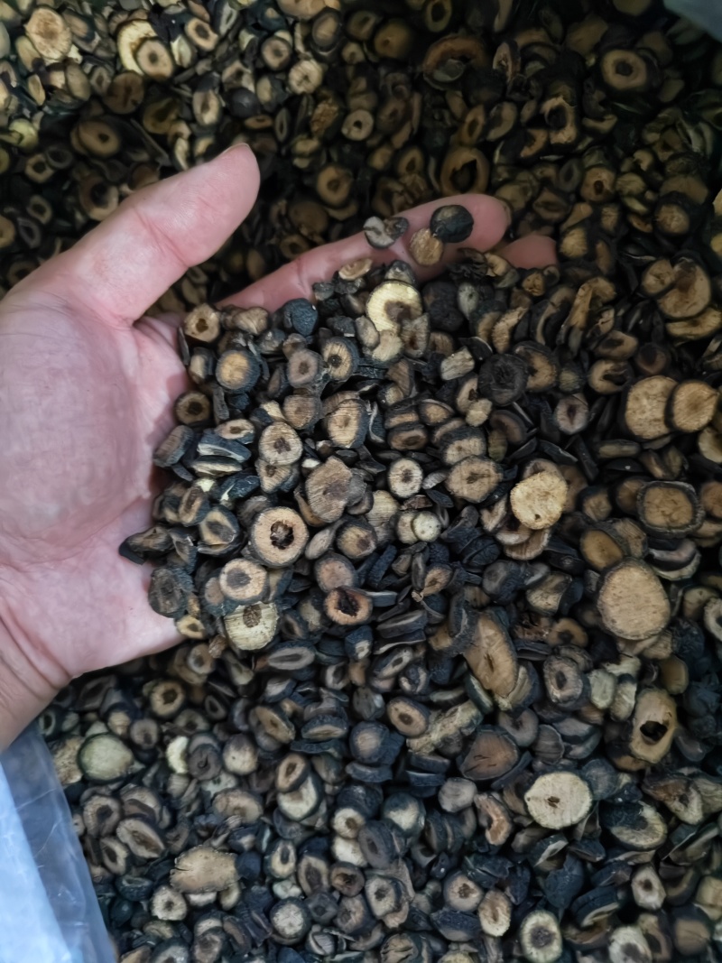 枳实各种规格齐全枳实批发零售