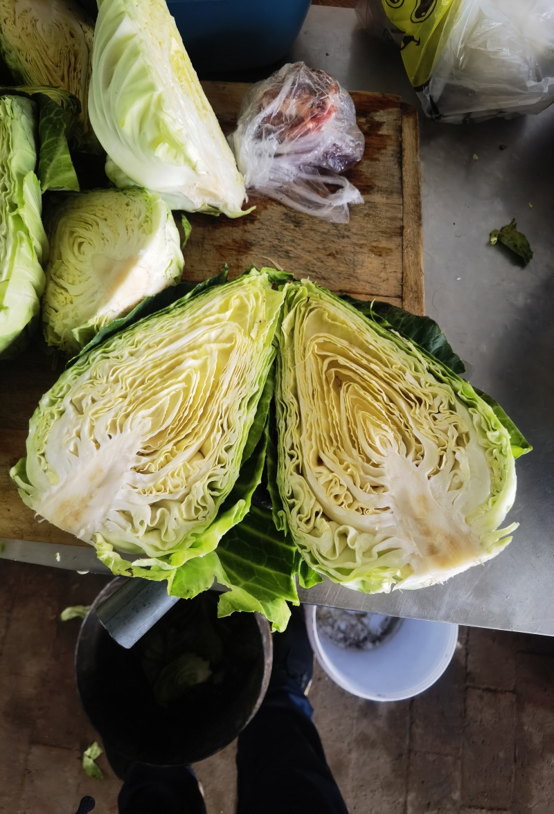 牛心甘蓝