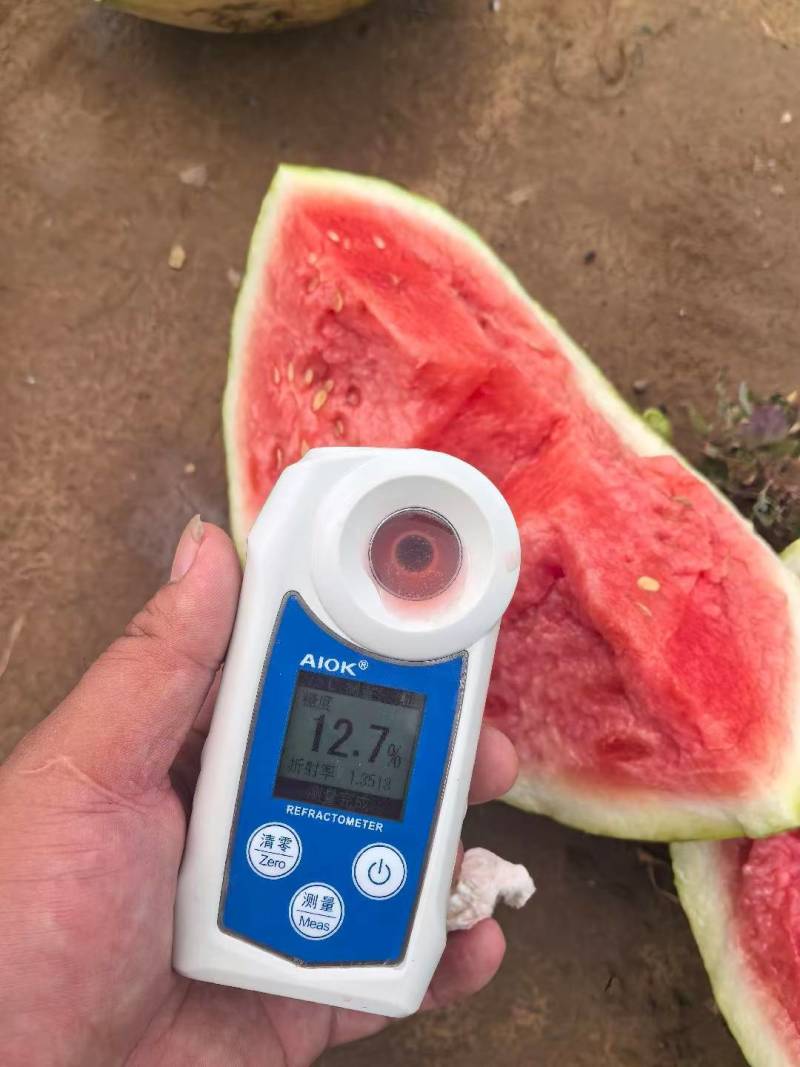 特小凤西瓜产地直销货源充足