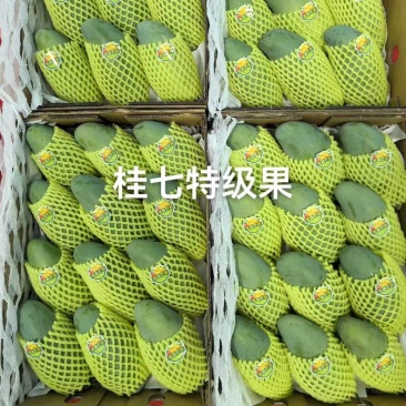 精品特大桂七礼盒装
