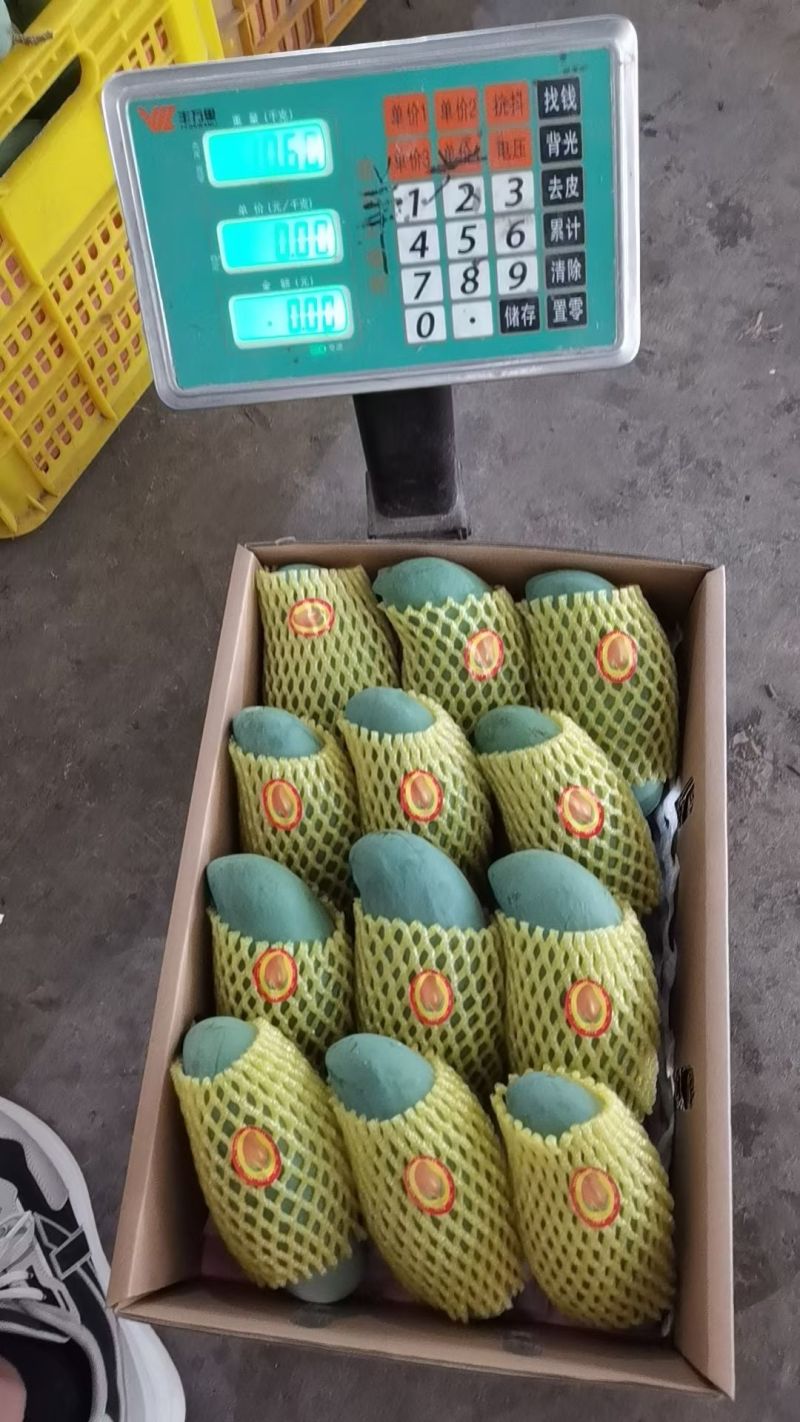 精品特大桂七礼盒装