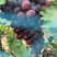 夏黑葡萄