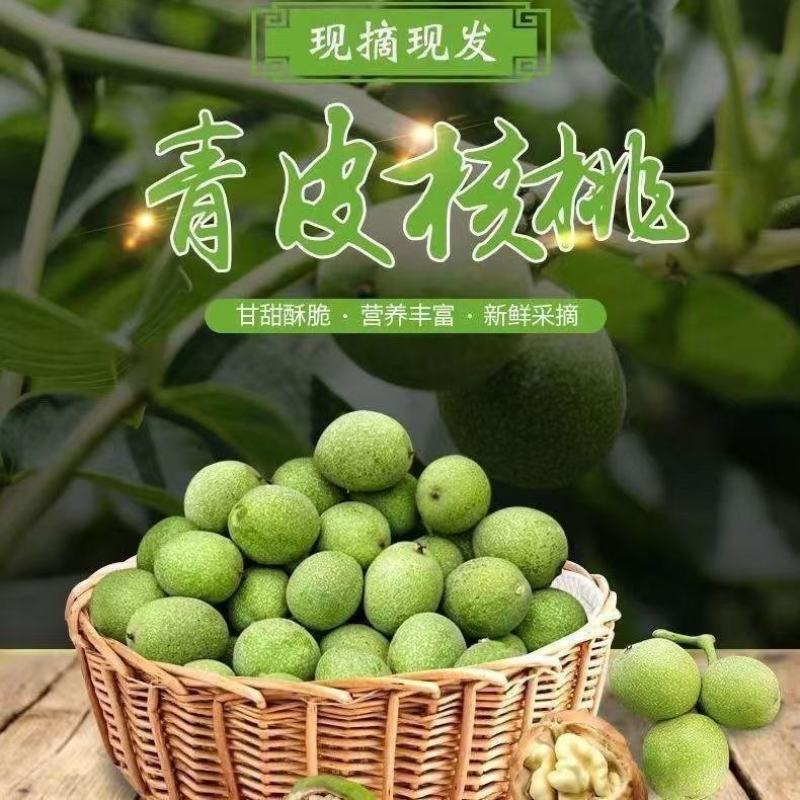 青皮核桃