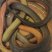 【正宗越南黄鳝】无限量供应活体黄鳝冰冻鳝段量大从优