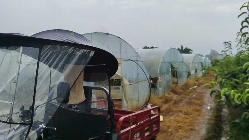11亩蔬菜种植大棚转让，配套天喷滴灌，水电齐全