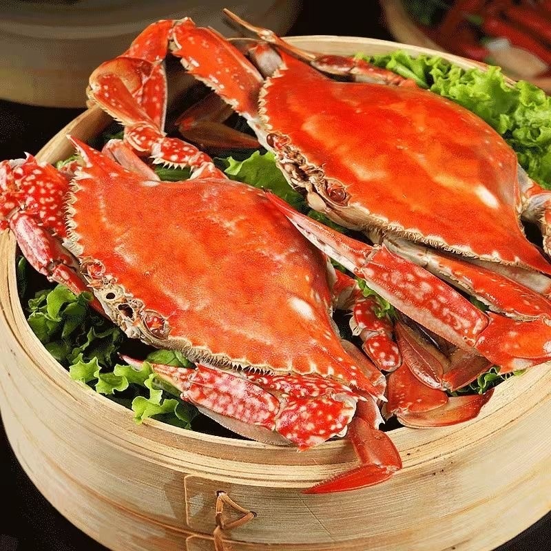 连云港梭子蟹