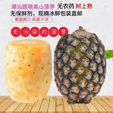 潮汕圆墩菠萝，甜中带香，品得鲜农业基地直发，欢迎商家洽谈