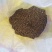 鱼之语鲜鱼颗粒饲料原料1斤能抵3.5斤冰鲜鱼罗氏虾饲料螃