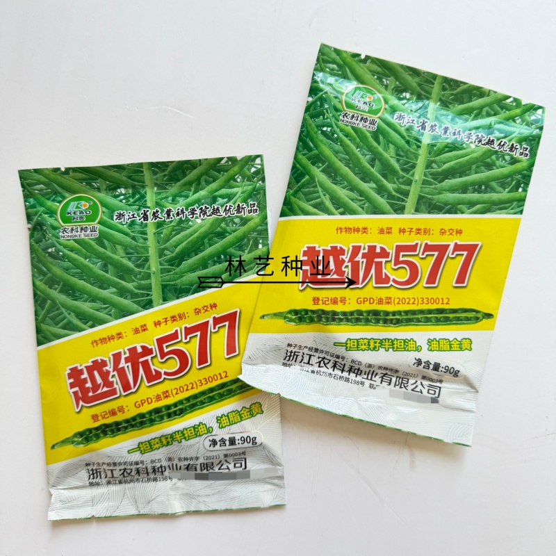 越优577食用型油菜种子高产高含油矮杆抗寒抗病适广性强