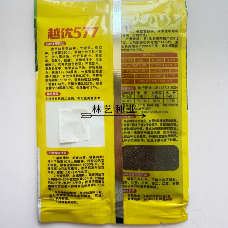 越优577食用型油菜种子高产高含油矮杆抗寒抗病适广性强