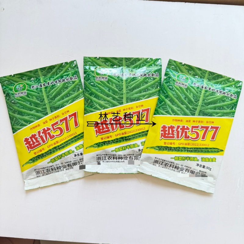 越优577食用型油菜种子高产高含油矮杆抗寒抗病适广性强