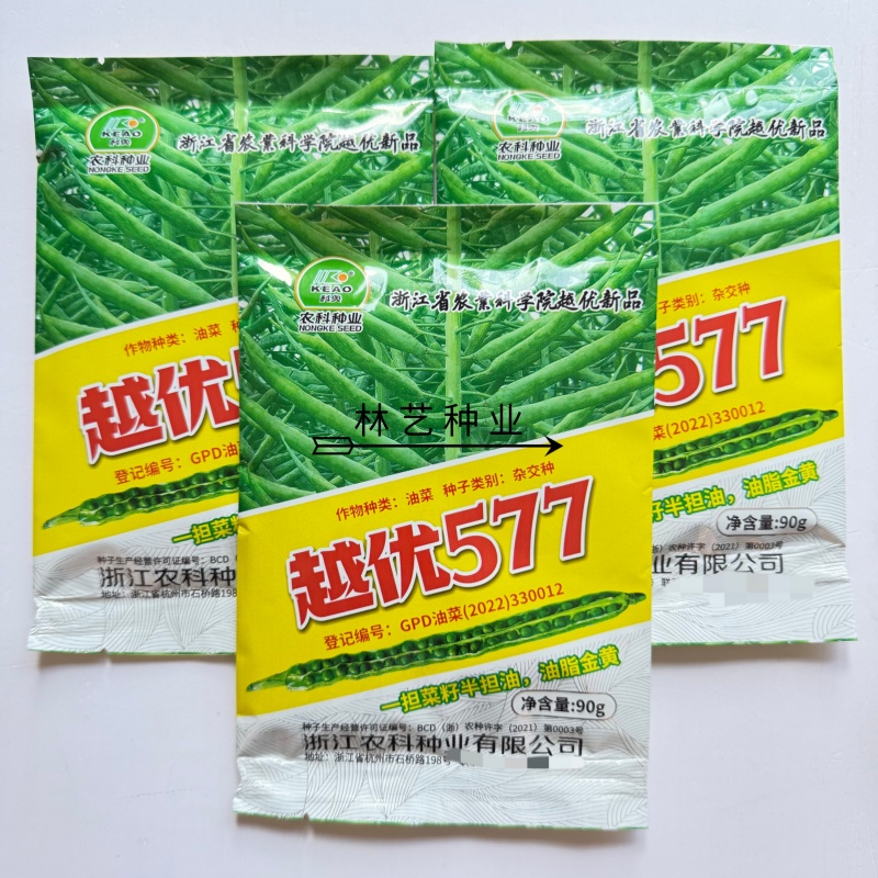 越优577食用型油菜种子高产高含油矮杆抗寒抗病适广性强